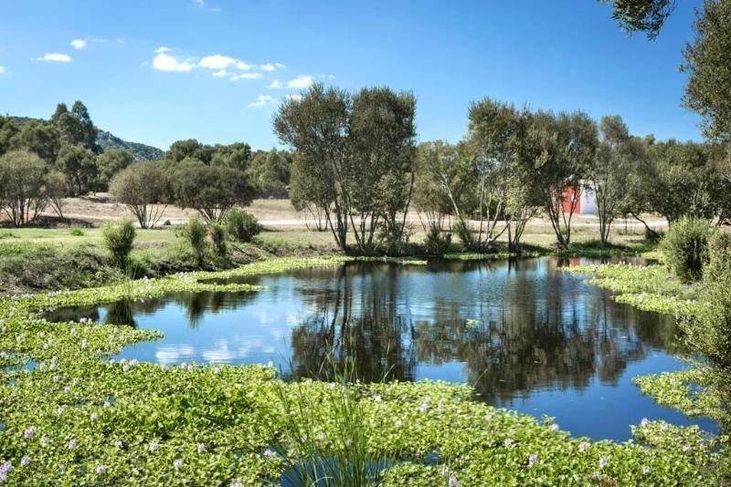 Li Neuli Country Club Hotel San Pantaleo Exterior foto